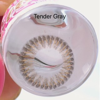 Tender Gray สีเทา เทา ทรีโทน ขอบฟุ้ง มินิ ลายแซ่บ ใส่สวย ✨Wink Lens ✨ ค่าสายตา สายตาสั้น แฟชั่น สายตาปกติ Contact Lens