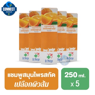 Dr.Merge แชมพูอาบน้ำ เปลือกผิวส้ม บำบัดโรคผิวหนัง ช่วยสร้างเนื้อเยื่อ สำหรับสุนัข แมว (250 มล./5ขวด)