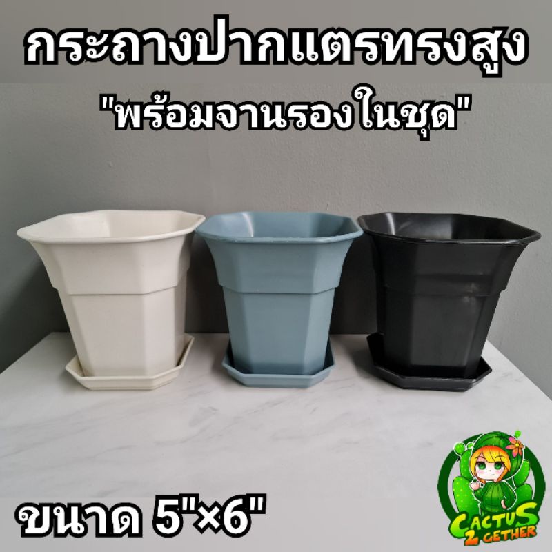 กระถางเหลี่ยมตัดมุมทรงแจกัน ปากแตรกว้าง5"×6"
