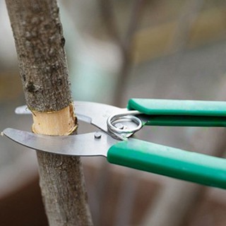 Garden Tree Branches Ring Barking Cutter Scissor Girdling Shear Prunning Tools