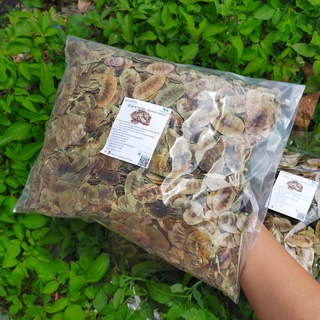 ฝักมะขามแขกอบแห้ง ขนาด 500 กรัม ช่วยขับลม บรรเทาอาการท้องผูก