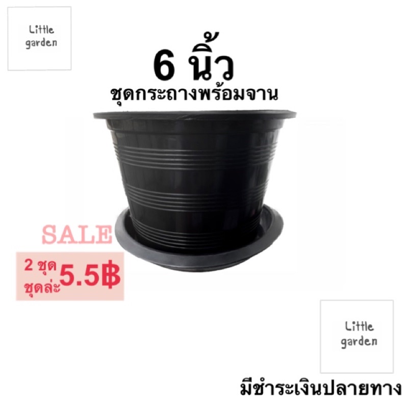 Little ชุดกระถางพร้อมจาน 6 นิ้ว (ดำเงาA+ )