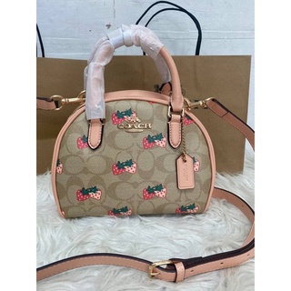 Coach Sydney Satchel CA591