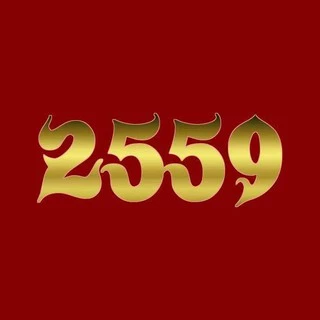 ปลอกหมอน โรงแรม ลายริ้ว ลายเรียบ ขนาดมาตรฐาน cotton100% C260 20*30+6