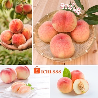 พร้อมส่ง!! 🍑 พีชน้ำผึ้ง 1 Kg.