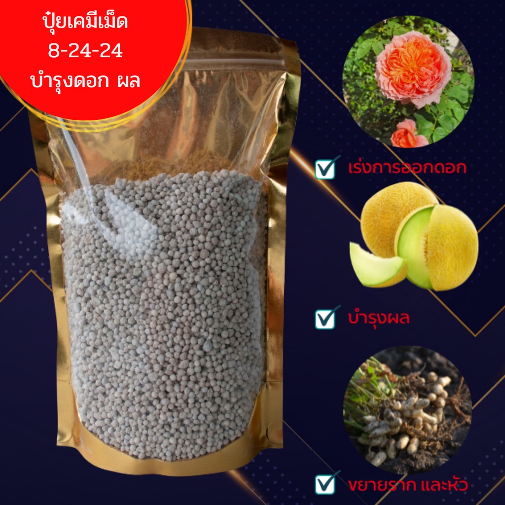 ปุ๋ยเคมี สูตร 8-24-24 (Super Premium)คุณสมบัติ เสริมสร้างดอก เพิ่มสีสันดอก  ก้านดอกเเข็งเเรง เร่งระบบราก เเละบำรุงผล เพ - Goldplant - Thaipick