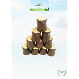 Realistic Resource( Resin ) : Wood 10 pieces