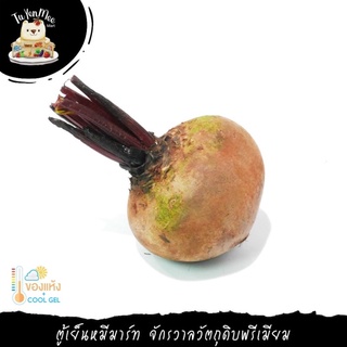 1KG/PACK บีทรูทตัดจุก คัดตัดแต่ง BEETROOT (HEAD AND TAIL TRIMMED) (D / F)