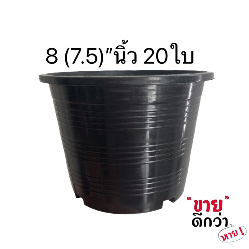 กระถางต้นไม้  8 นิ้ว(วัดจริง 7.5 นิ้ว)  20 ใบ
