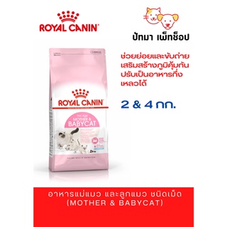 Babycat &amp; Mother / Royal Canin 2 &amp; 4kg.