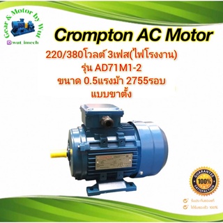 Crompton 1/2แรง 2โพล 3เฟส(ไฟโรงาน)