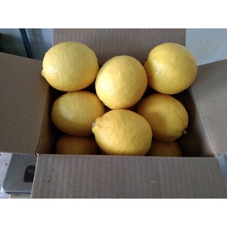 มะนาวเหลืองสดผิวสวยเหลืองเข้ม เลม่อน(Lemon)