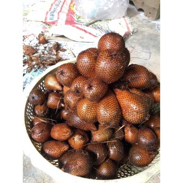 ส่งของทุกวัน 📌ของดีภาคใต้ ส่วนปลูกเอง100%✅✅ สดใหม่