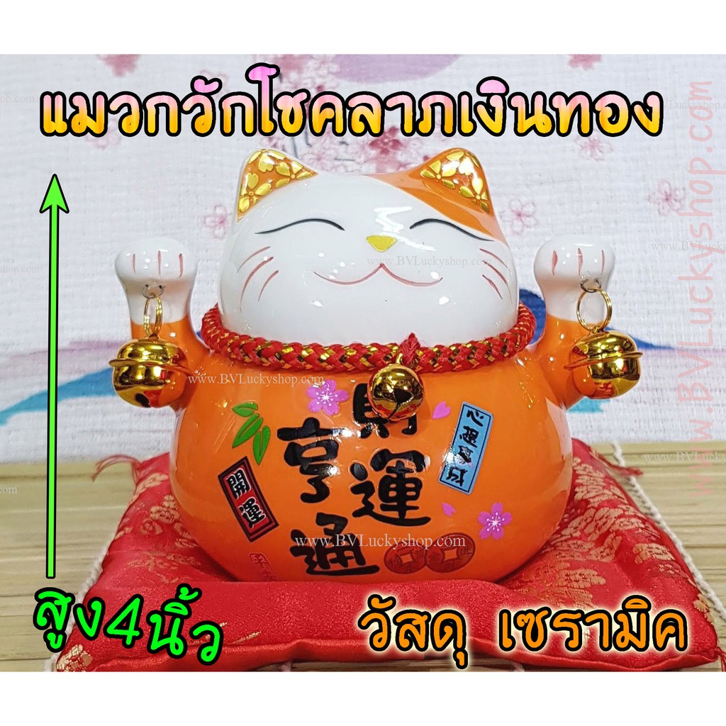 My Image 47