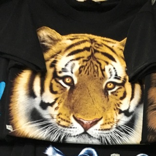 Tiger#1 Street Tshirt