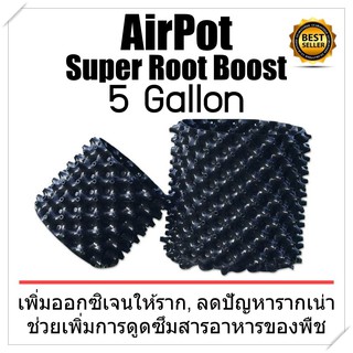 ส่งฟรี! Airpot Grow Bag กระถางปลูกต้นไม้ระบายอากาศ: 5 Ga ป้องกันรากเน่า ช่วยให้อากาศถ่ายเท เซ็ต 1-4 ใบ ใช้ซ้ำได้