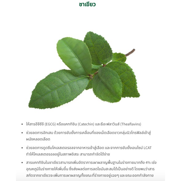 Green Tea Plus and Calow Nutrilite Amway กรีนทีพลัส ชาเขียว สารสกัดจาก ถั่วขาว นิวทริไลท์ แอมเวย์ อาหารเสริม ออกกำลังกาย - รูปที่ 3