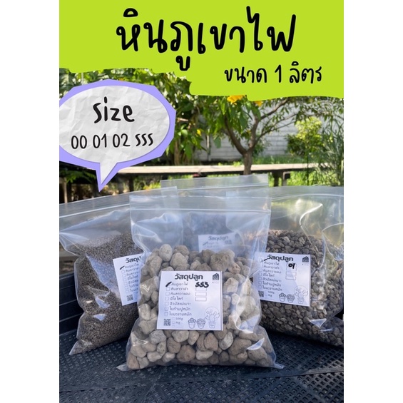 หินภูเขาไฟ (1ลิตร) หินภูเขาไฟลอมบอก พัมมิส วัสดุปลูก แคคตัส