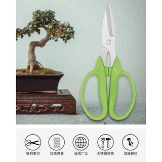 Gardening series stainless steel scissors กรรไกรตัดตกแต่งกิ่งไม้