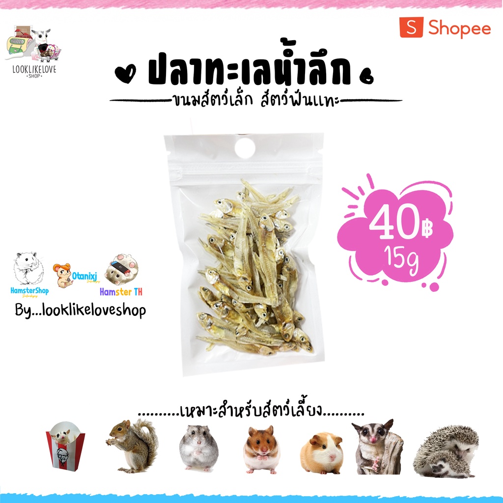 ปลาทะเลน้ำลึก เสริมเเคลเชียม อาหารแฮมเตอร์ หนู ชูการ์ กระรอก เม่น ดอร์เม้าท์