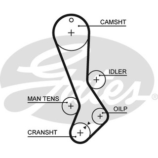 สายพานไทม์มิ่ง LEXUS IS200 1999-2005 TOYOTA CROWN GS151 1995-2001 1G-FE 2.0 T1138 GATES