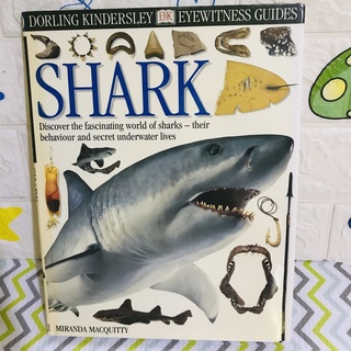 DORLING KINDERSLEY Eyewitness Guides  SHARK หนังสือความรู้ปกแข็ง(มือสอง)-af1