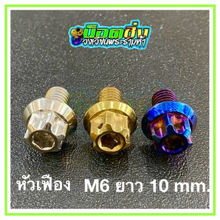 น็อตสแตนเลส หัวเฟือง ขนาดเกลียว m6 ยาว 10 mm.