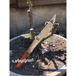 มีดเดินป่า เหล็กใบเลื่อยหินอ่อน ใบยาว 11 นิ้ว มีดอรัญญิก จ้อย อรัญญิกแท้ #ทำสวน #เดินป่า