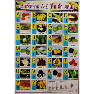 โปสเตอร์เรื่องแบบหัดอ่าน A-Z (พืช ผัก ผลไม้) โปสเตอร์ภาพประกอบการศึกษา โปสเตอร์สื่อการเรียนรู้ No.9188