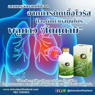 โดกุดามิ/dokudami ราคาพิเศษ 700 บาท สมุนไพร พลูคาว คาวตอง เข้มข้น 99.3%