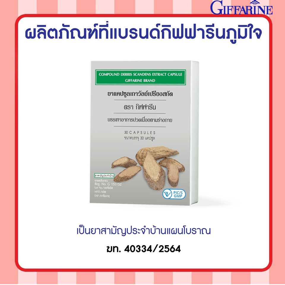 [ส่งฟรี ไม่ต้องใช้โค้ด] เถาวัลย์เปรียงสกัด ตรา กิฟฟารีน / ยาแผนโบราณ ยาสามัญประจำบ้าน ยาแคปซูล กิฟฟารีน Giffarine