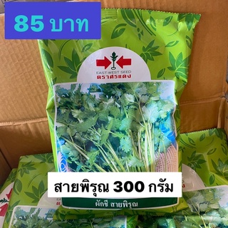 ผักชีสายพิรุณ300กรัมราคา85บาท ลอตใหม่ล่าสุด