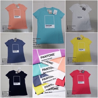 CC DOUBLE Oหญิงรุ่นลิมิเตดPantone พร้อมส่ง