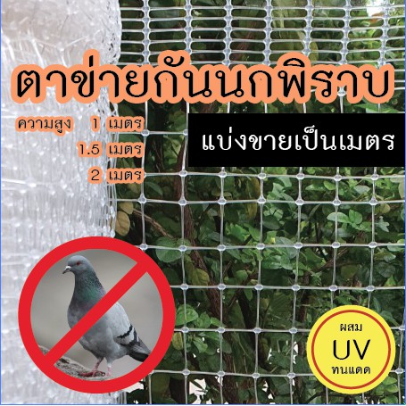 ตาข่ายกันนก สีใส หน้ากว้าง 1,1.5, 2 เมตร ขนาดตา 2.5 ซม ยาวตามสั่งชิ้นละ 1 เมตร (สั่งหลายชิ้นตัดยาว) ผสมUVทนแดด