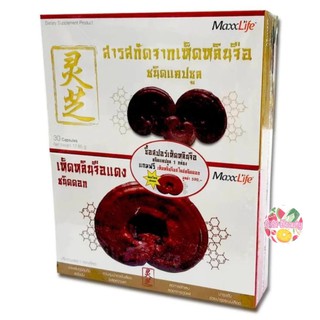 MaxxLife สารสกัดจากเห็ดหลินจือ 30 แคปซูล แถม ดอกเห็ดหลินจือแดง Ganoderma Lacidum Extract