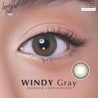 Windy gray พร้อมส่งค่าสายตา (Lovelysoft)