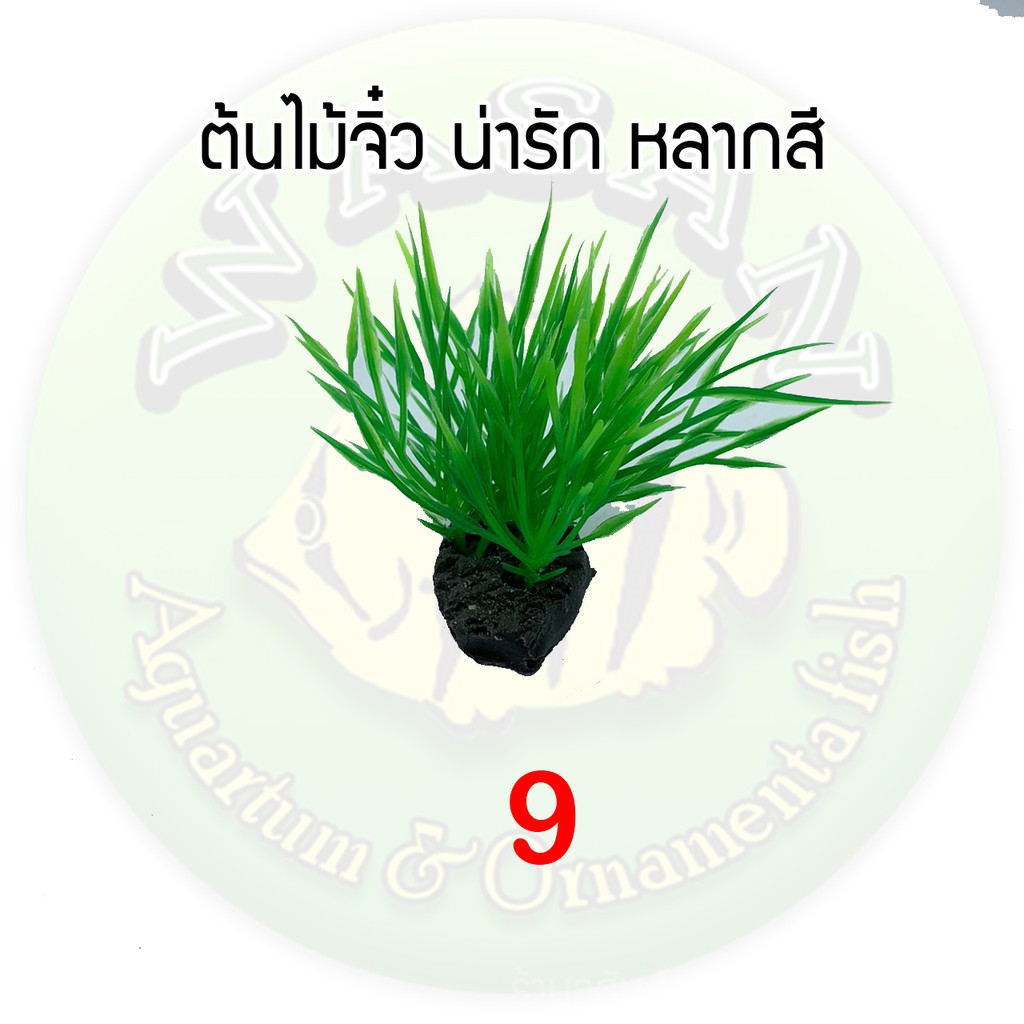 Thumbnail 9
