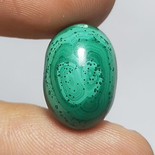 พลอย หลังเบี้ย มาลาไคต์ ธรรมชาติ แท้ ( Natural Malachite ) 14.50 กะรัต