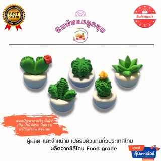 พิมพ์ลูกชุบแคคตัสขนาด 9 กรัม พิมพ์ซิลิโคน food grade ปลอดภัยไร้สาร ใช้งานง่าย ลายชัด ลงสีง่าย