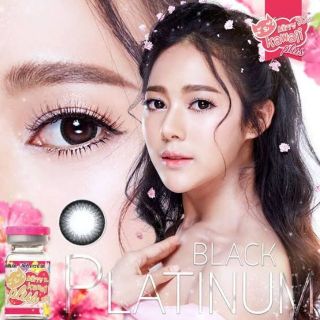 💖 Kitty kawaii ๑ สีดำ black Platinum สายตา -00 ถึง 1000 Contactlens บิ๊กอาย คอนแทคเลนส์