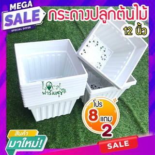 Local ฟาร์มสุข กระถางต้นไม้ ( 8 แถม 2 ) กระถางสี่เหลี่ยม 12 นิ้ว สีขาว กระถางปลูกต้นไม้ กระถางพลาสติก เนื้อดี สวย มีรู