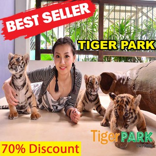 Tiger Park - pattaya - เสือ สวน