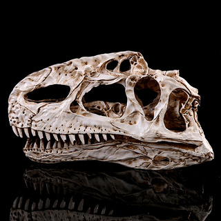 JAPAN โมเดล กะโหลกผี ไดโนเสาร์ Dinosaur เรซิ่น Resin Skull ตกแต่งบ้าน ปาร์ตี้ฮาโลวีน Halloween Gift Limited edition