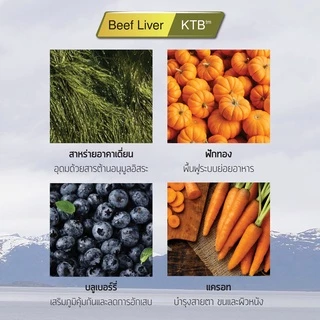 เคลลี่แอนด์โค อาหารสุนัขเกรนฟรี รอว์บูส ผสมฟรีซดราย อาหารสุนัข 2.72 kg. ไม่มีธัญพืชและสัตว์ปีก