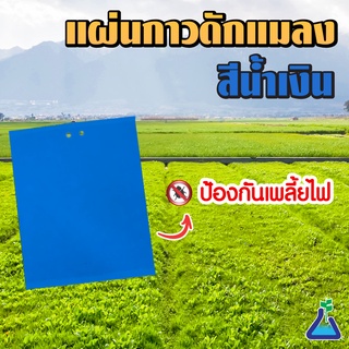 แผ่นกาวดักแมลง (สีฟ้า) ขนาด 20 x 25 เซนติเมตร จำนวน 1 แผ่น  Blue Sticky Trap 20 x 25 cms 1 pcs