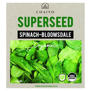 เมล็ดพันธุ์ปวยเล้ง ชัยโย 35 เมล็ด SPINACH-BLOOMSDALE (ORGANIC) 35 SEEDS