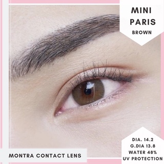 Mini Paris Brown ค่าสายตา 0.00-500