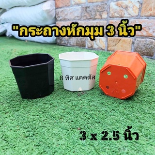 กระถาง 3 นิ้ว หักมุม // กด 100 ใบ 350฿ -- 8 เหลี่ยม -- กระถางแคคตัส กระบองเพชร กระถางพลาสติก