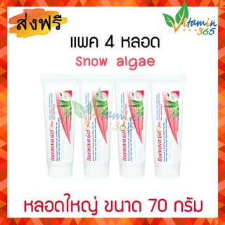 (แพค 4 หลอด) Burnova Gel Plus 70g หลอดใหญ่  สูตร Snow algae (สีชมพู)