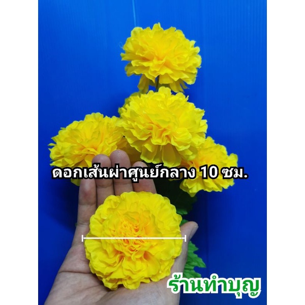 ดาวเรือง ช่อดอกดาวเรือง ดอกดาวเรืองใหญ่ 1 ช่อมี 7ดอกใหญ่ หรือ 9 ดอกคละ  ใช้ไหว้พระ ใช้ตกแต่ง วางบนหิ้งพระ ดอกไม้ไหว้พระ - รูปที่ 3